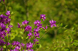 resize2328_thumb.jpg